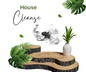 House cleanse